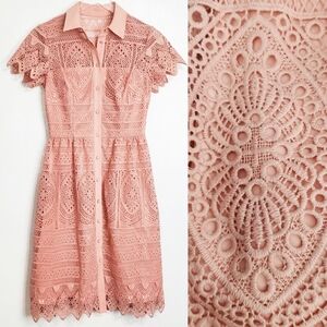 ANTONIO MELANI Blush Pink Lace Shirt Dress